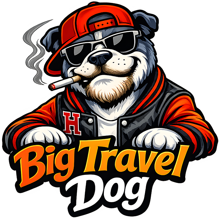 BigTravelDog